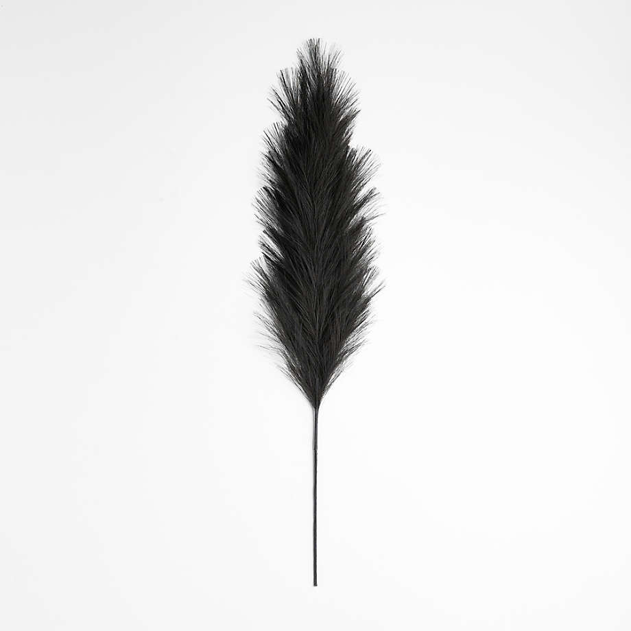 Pampas Grass 蒲葦插枝 黑